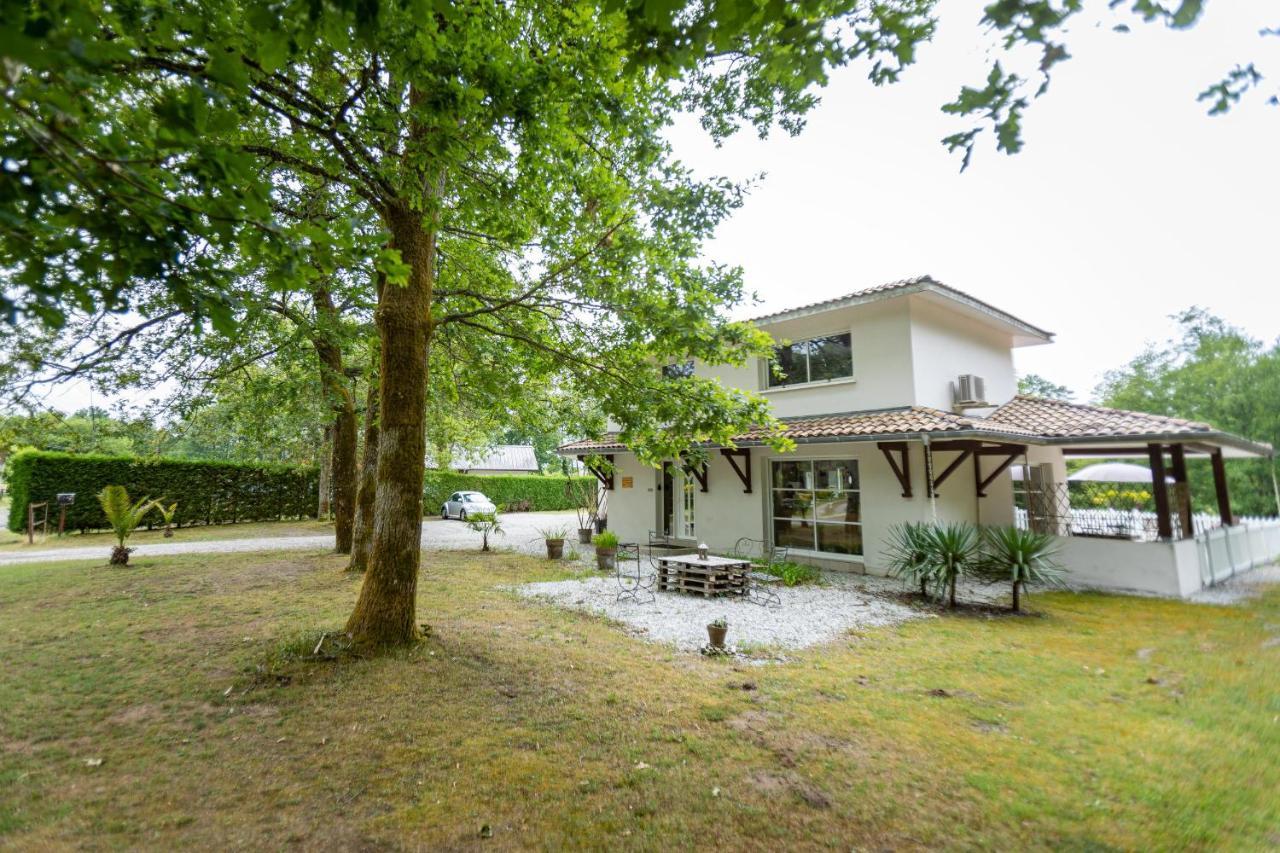La Villa Minvia Les Landes Entre Mer Et Montagne Saint-Vincent-de-Paul  Eksteriør bilde