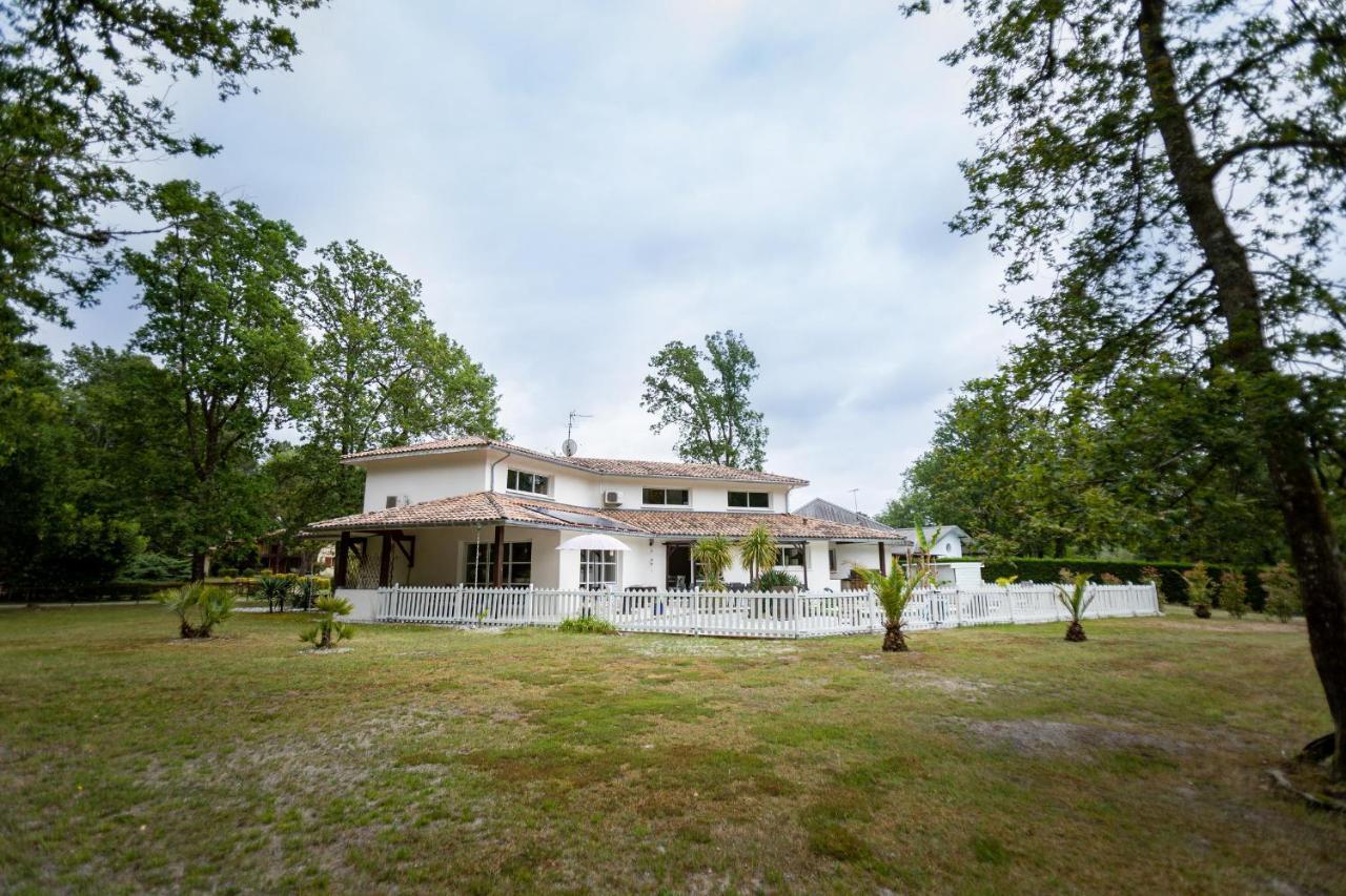 La Villa Minvia Les Landes Entre Mer Et Montagne Saint-Vincent-de-Paul  Eksteriør bilde