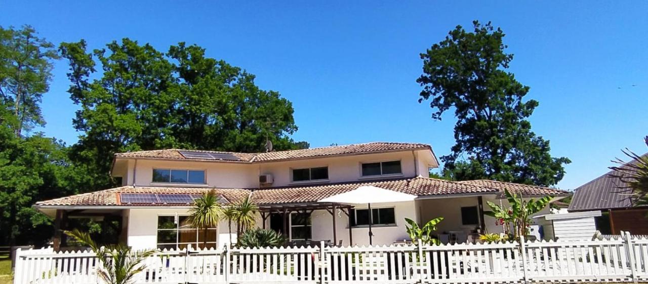 La Villa Minvia Les Landes Entre Mer Et Montagne Saint-Vincent-de-Paul  Eksteriør bilde
