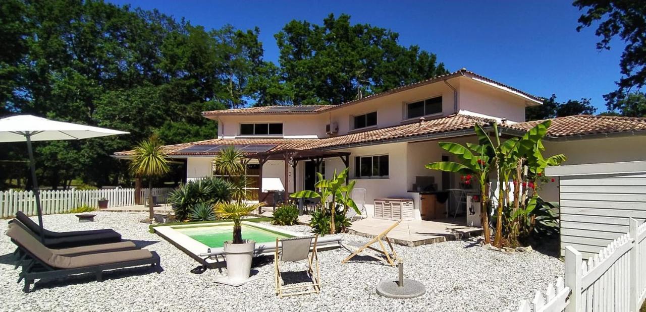 La Villa Minvia Les Landes Entre Mer Et Montagne Saint-Vincent-de-Paul  Eksteriør bilde